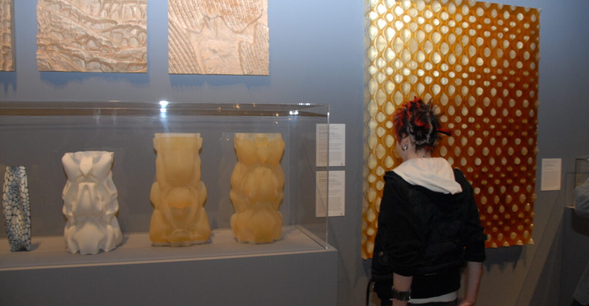MoMA exhibit of Neri Oxman s work 2008 Including Subterrain Cartesian Wax Monocoque Raycounting 1 2 Penumbra