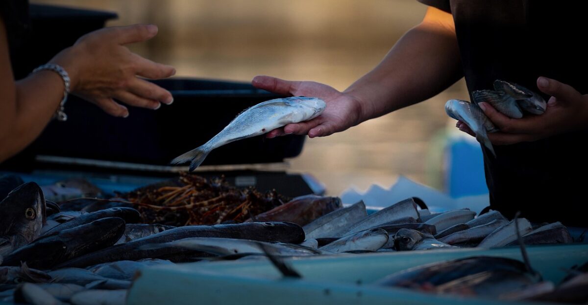 fish market fresh fish market port fish seller sell fish fish market fish market fish market fish market fish market