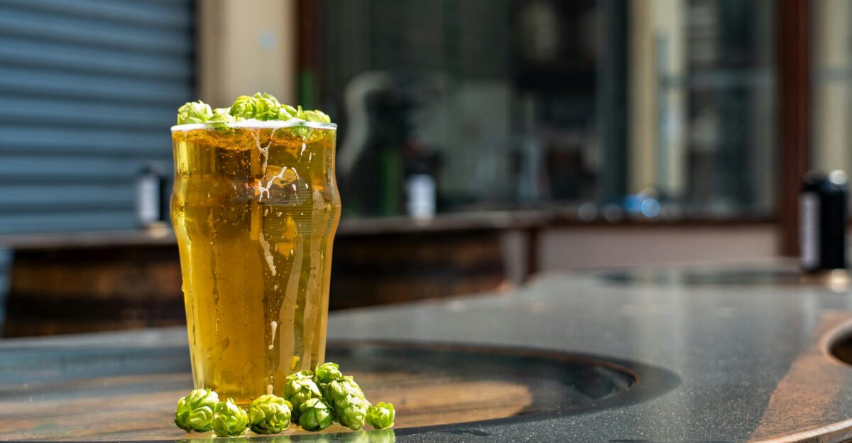 Tall glass of beer with fresh hops outdoors in Nelson New Zealand - perfect for craft beer enthusiasts